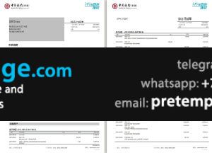 download Hong Kong Bank of China (Hong Kong) bank statement template free fonts (3 pages)