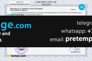 download Brunei vital record death certificate template free fonts