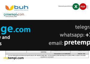 download Haiti BUH bank statement template free fonts