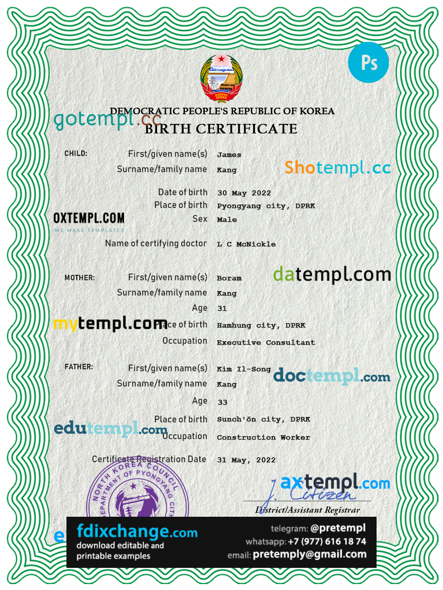 download North Korea birth certificate template free fonts