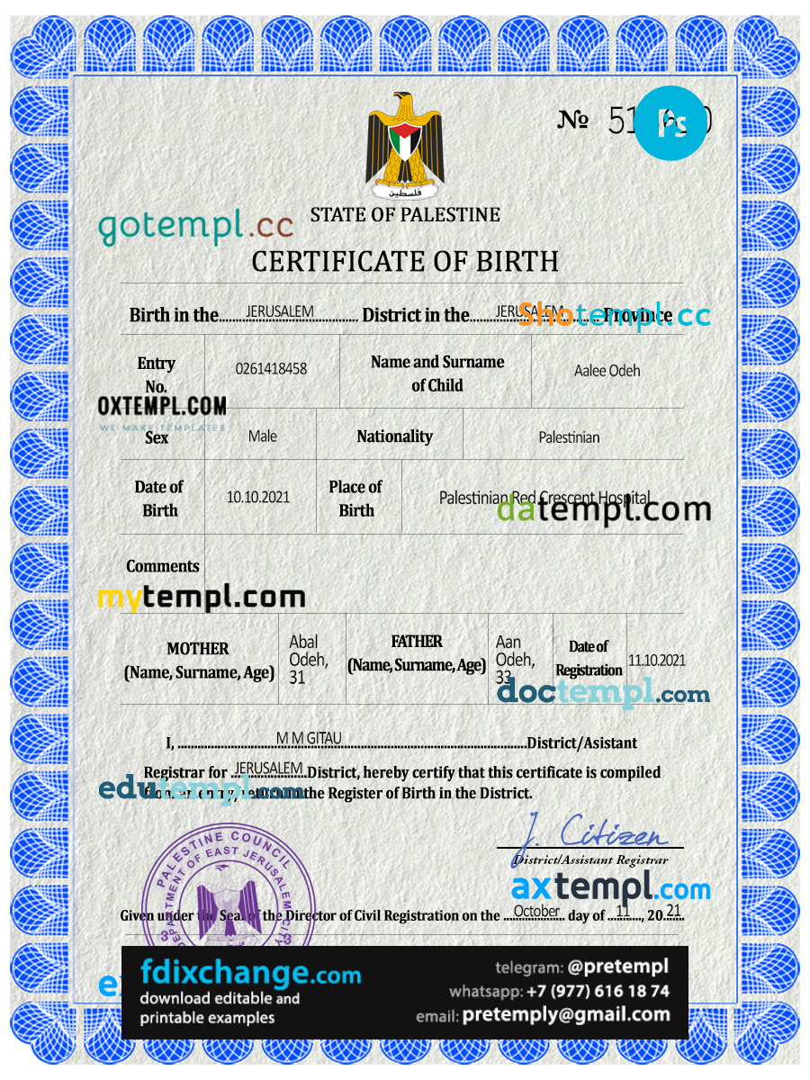 download Palestine vital record birth certificate template free fonts