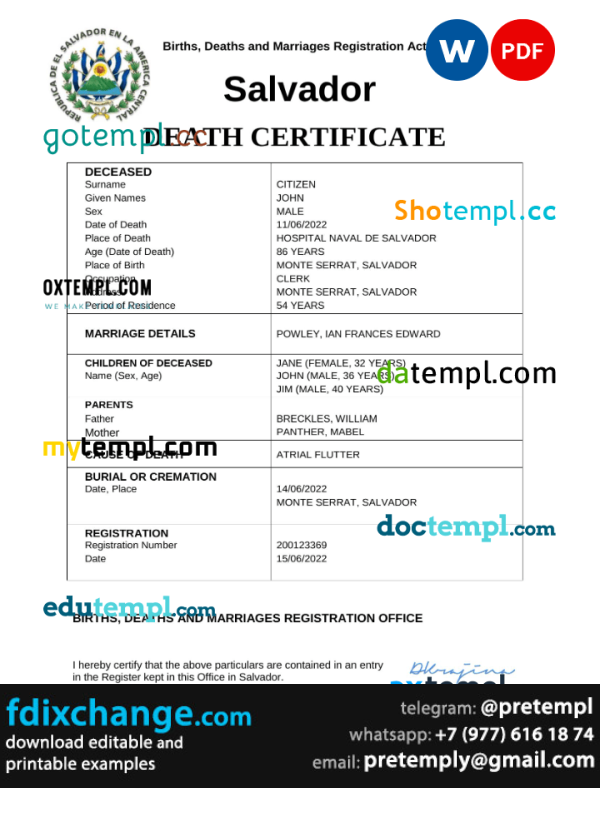 download Salvador vital record death certificate template free fonts