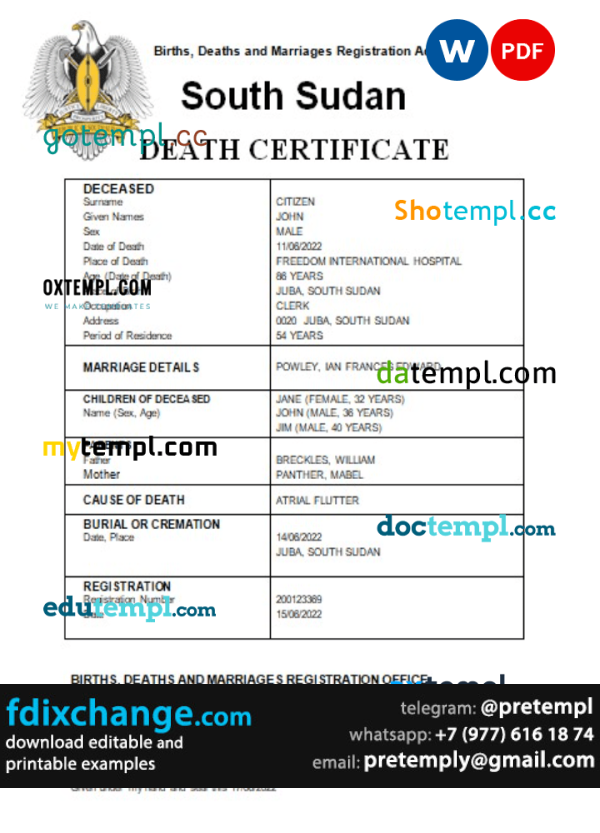 download South Sudan vital record death certificate template free fonts