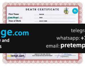 download Solomon vital record death certificate template free fonts