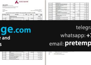 download India Axis Bank statement template free fonts (2 pages)