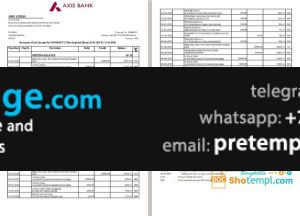 download India Axis Bank statement template free fonts (2 pages)