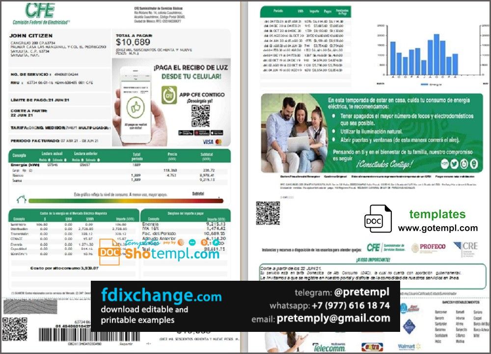download Mexico Federal Electricity Commission (CFE) utility bill template , 2 pages